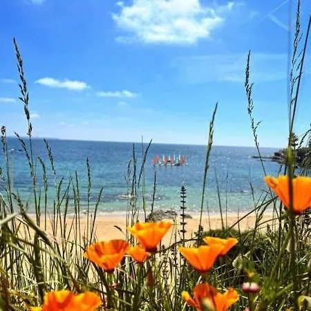 Les Oyats, Vue Sur Mer, Parking, Gr34 Daire